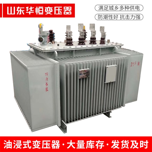 S13-10000/35望江望江望江电力变压器厂家