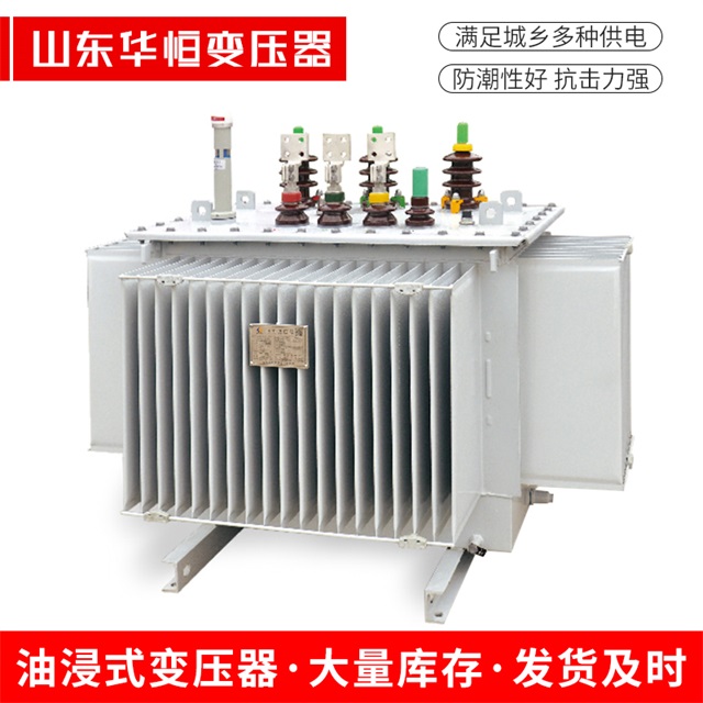 S13-10000/35望江望江望江电力变压器